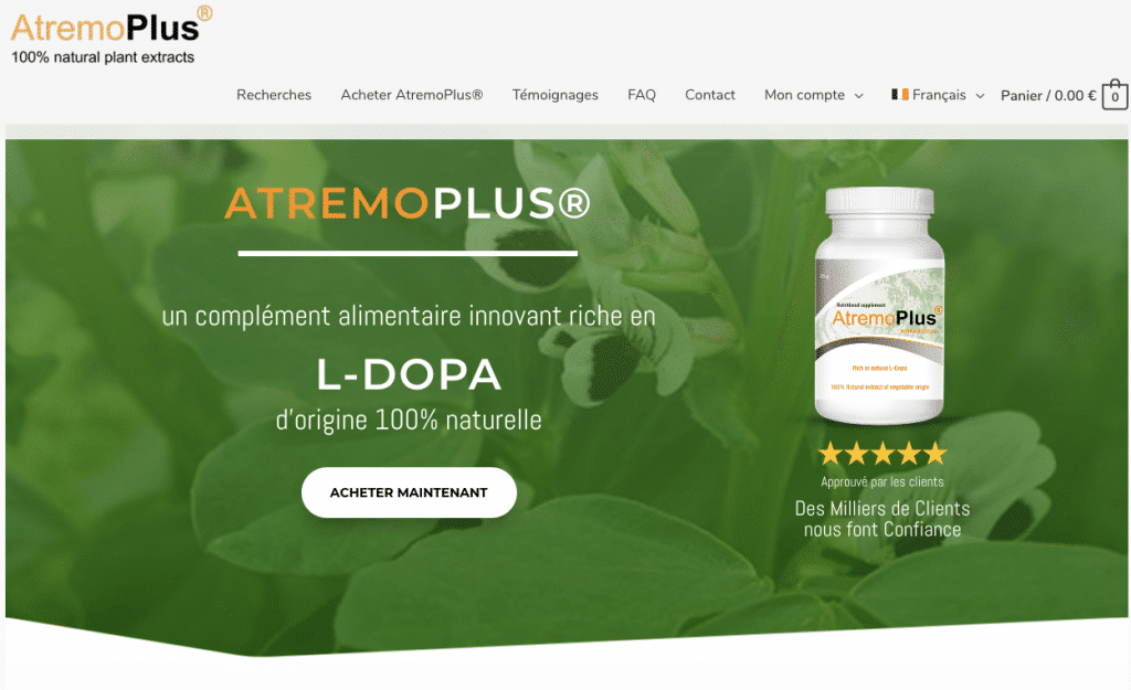 Audit stratégie digitale et refonte de site e-commerce refonte de site ecommerce mouse coach-Barcelona