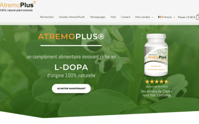 Audit stratégie digitale et refonte de site e-commerce