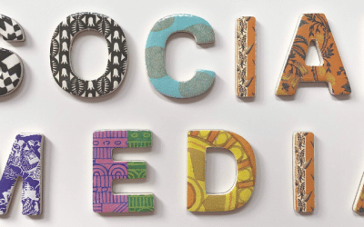 Plug&Play, Focus Tribes : Accompagnement et mise en place de la stratégie digitale sur les réseaux sociaux