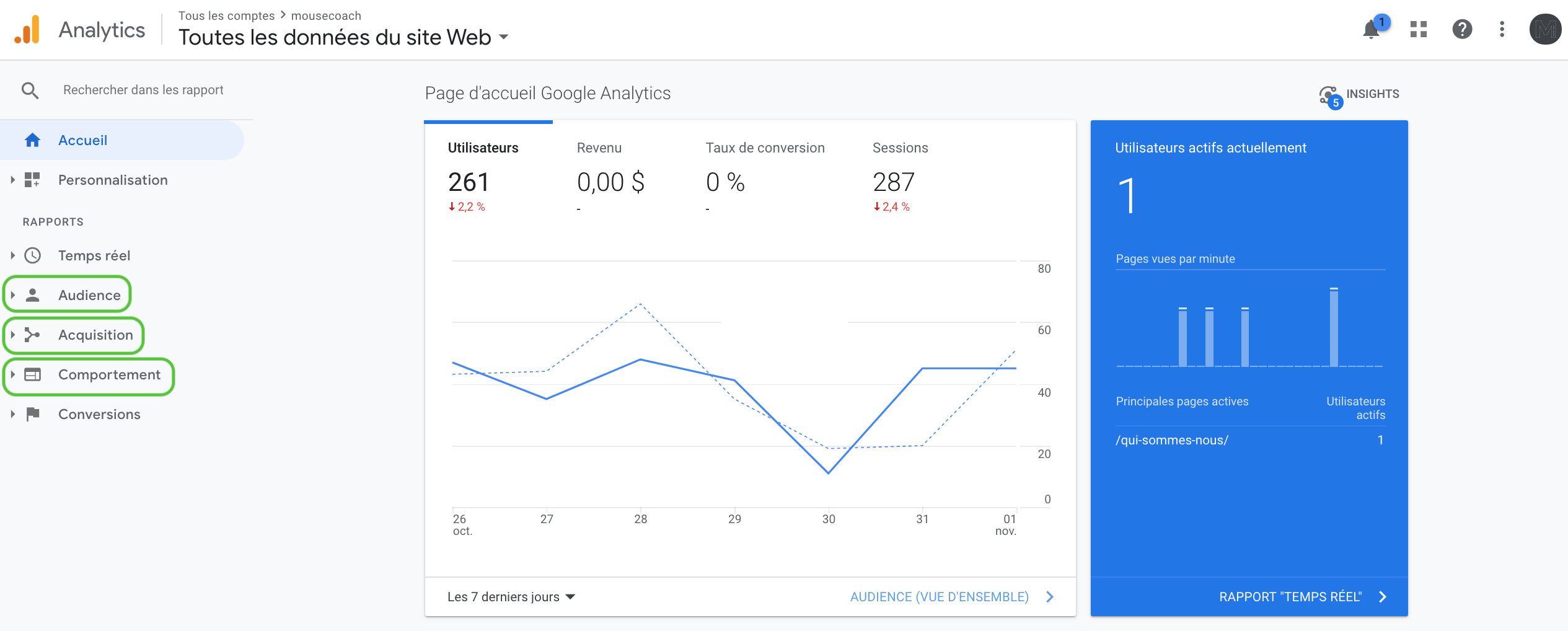 Google Analytics accueil - mouse coach